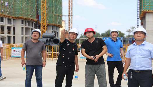 华体平台董事会巡检圆满完成